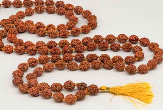 rudraksha