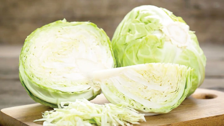 Cabbage