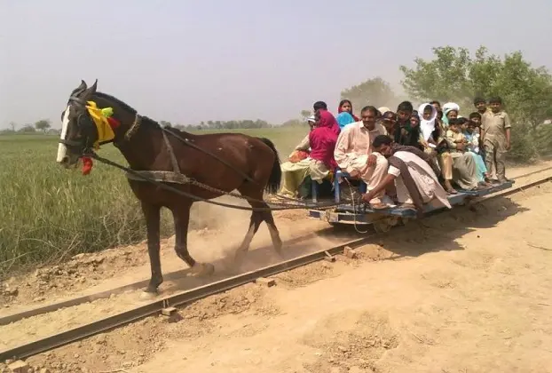 90 year old horse train in pakistan