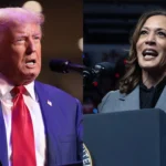 trump and kamala-harris